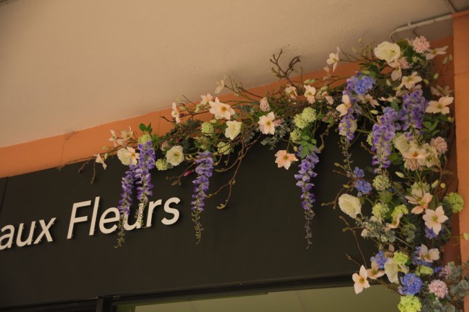 Printemps :  en cours de chargement